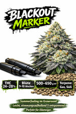 Blackout Marker