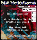 BlueBlotterscotch