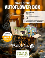 Bokes Seeds Autoflower Box