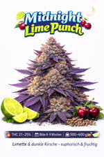 Midnight Lime Punch