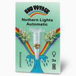 BudVoyage Northern Lights Auto – Die robuste und vielseitige Indica-Sorte