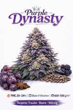 Purple Dynasty