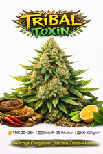Tribal Toxin