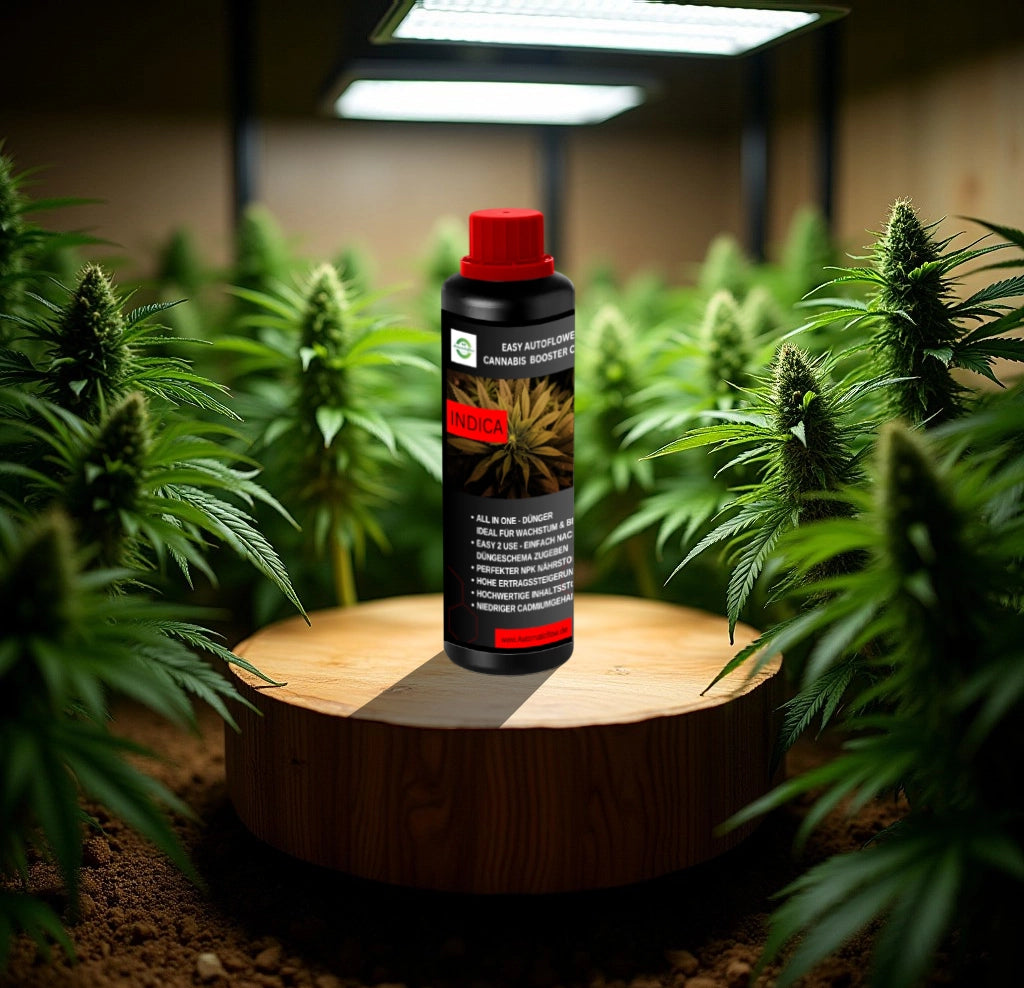 COMPLETE CANNABIS BOOSTER MIX LIQUID Indica